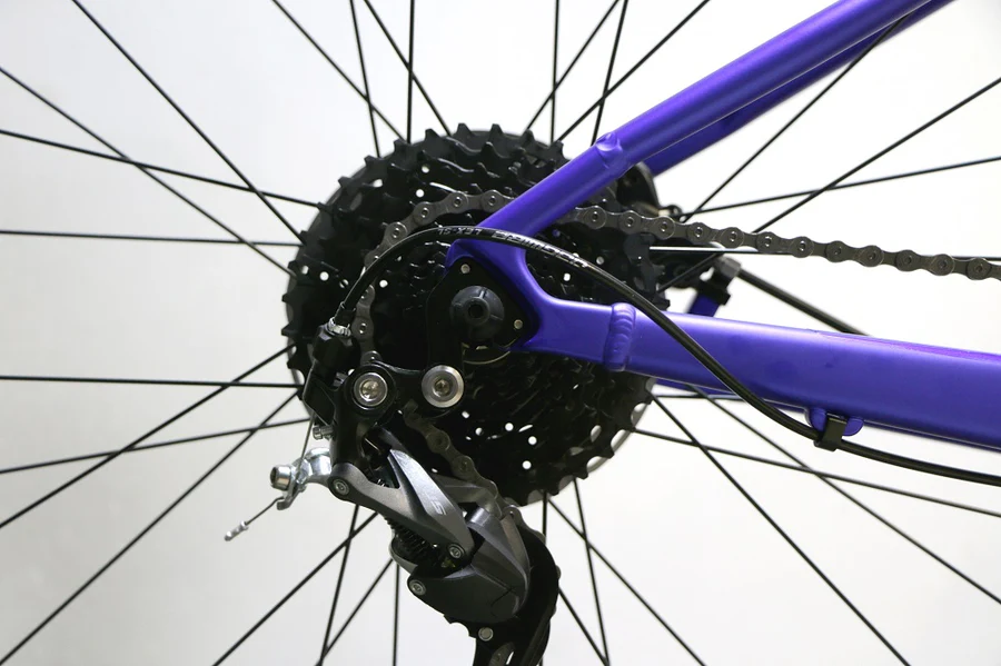 ZINI Z29 Sport (2025) - Image 5